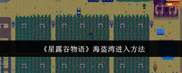星露谷物语海盗湾怎么进入1