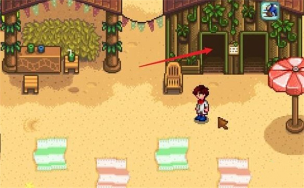 星露谷物语海盗湾怎么进入2