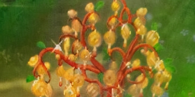 梦幻西游摇钱树苗怎么照顾1