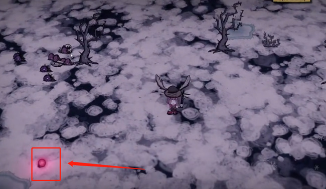 饥荒新家园圣诞树灯泡怎么获取3