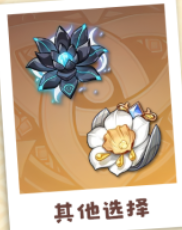 原神卡齐娜圣遗物怎么选择4