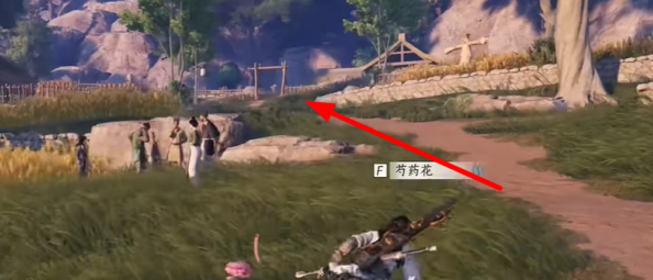 燕云十六声猫猫石头坑在哪3