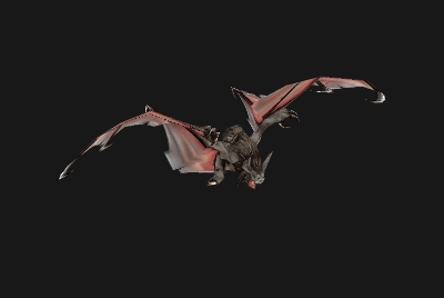 魔兽世界wlk蝙蝠在哪抓5