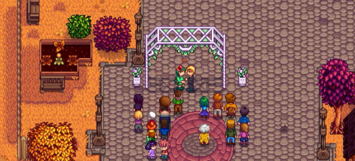 星露谷物语如何跟npc结婚3