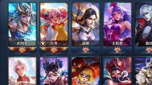 王者荣耀有多少种职业1