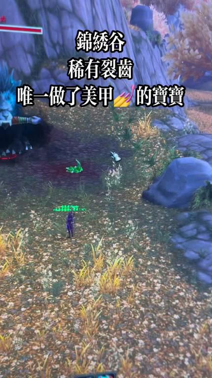 魔兽世界锦绣谷突袭怎么接2