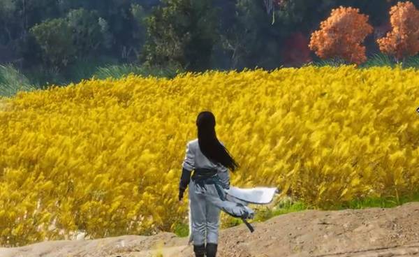 燕云十六声麦穗在哪刷2