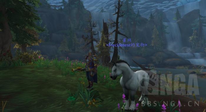 《魔兽世界》雀斑介绍3