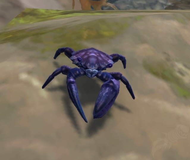 魔兽世界魔法宝箱能开出什么3