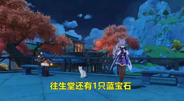 原神蓝宝石猫咪怎么抓2