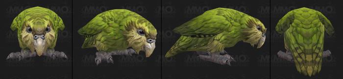 《魔兽世界》收藏向趣味物品挖掘14