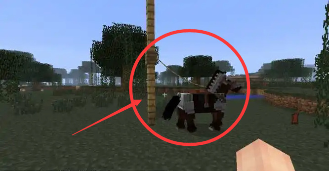 我的世界怎么把动物栓到别的地方2