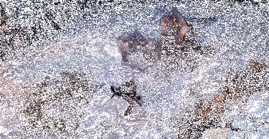 超激斗梦境蝰蛇职业一览2