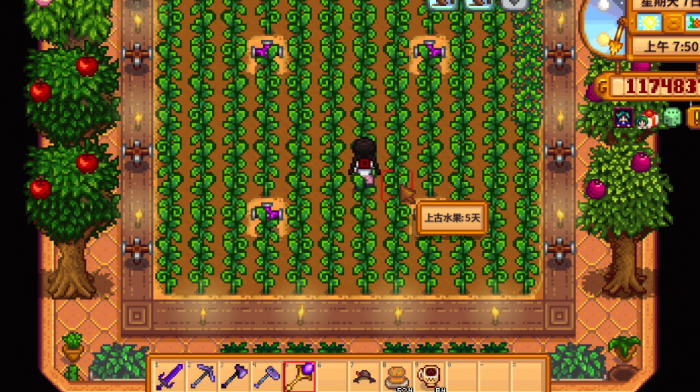 星露谷物语的种植技巧有哪些3