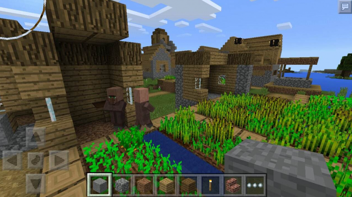 我的世界村庄需要什么东西2