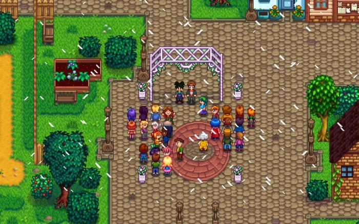 星露谷物语玩法是什么3