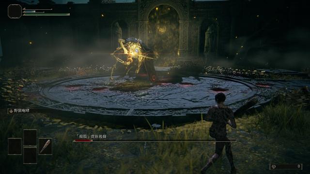 艾尔登法环最强流派是什么4