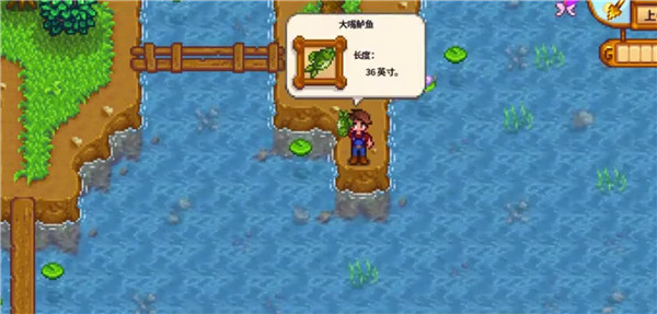 星露谷物语钓鱼怎么那么难3