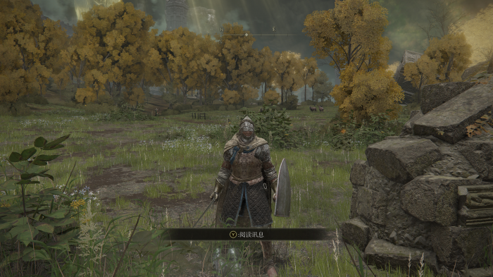 艾尔登法环人物有哪些2