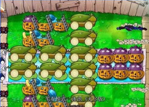 植物大战僵尸完美阵型梯子怎么弄1