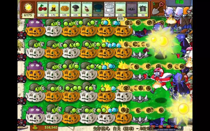 植物大战僵尸95版29关怎么过1