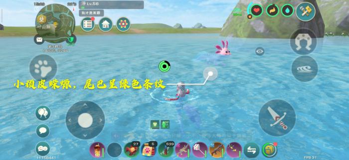 创造与魔法顽皮蝾螈战宠资质2