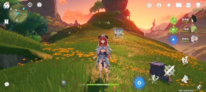 原神妮露怎么养3