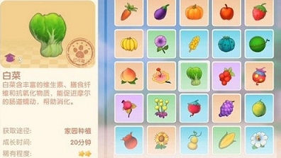 摩尔庄园怎么做胡萝卜盖饭1