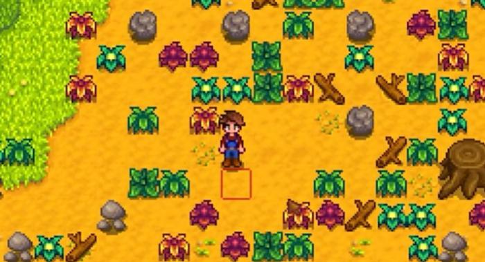 星露谷物语混合种子有哪些获取方式1