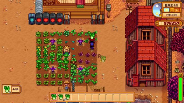 星露谷物语小白菜的收益怎么样2