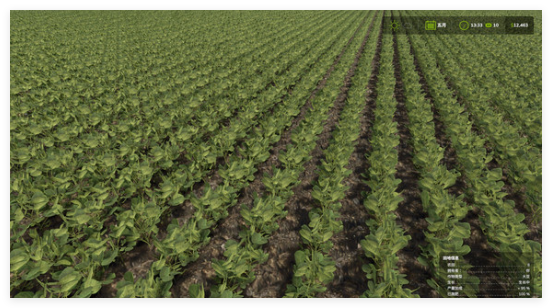 模拟农场25种地步骤是什么1