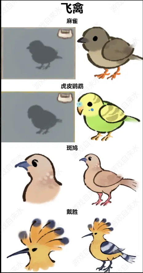 桃源深处有人家鸟类辨认有那些方法6