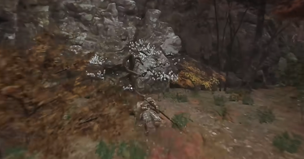 黑神话悟空树珍珠种子在哪6