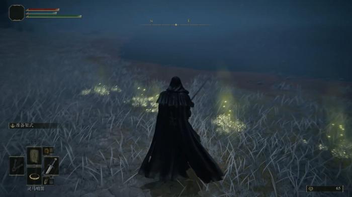 艾尔登法环密使玩什么流派1