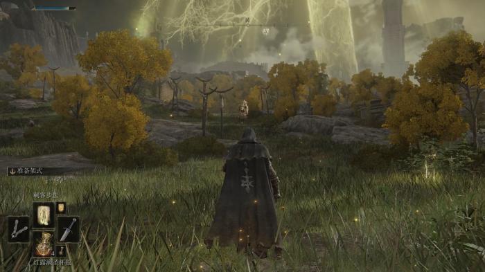 艾尔登法环密使玩什么流派2