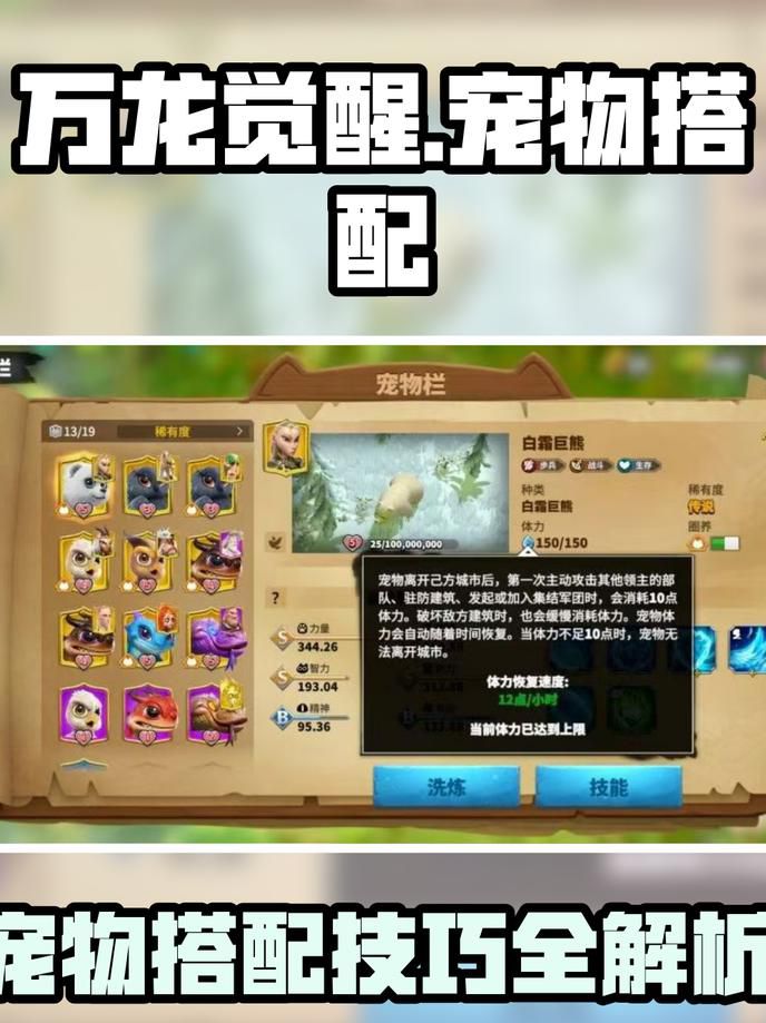 万龙觉醒为什么没有宠物洗练功能3