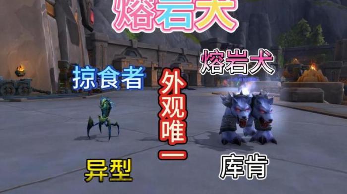 魔兽白色熔岩犬哪里抓3