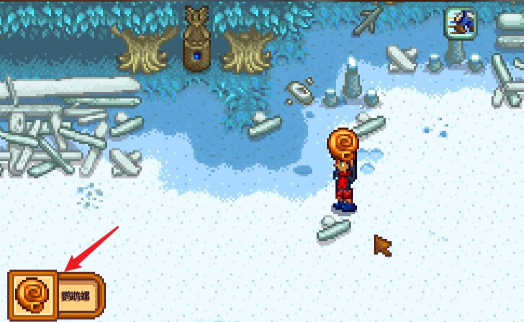 星露谷物语鹦鹉螺怎么获得2