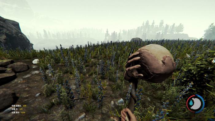 森林手电筒如何获得7