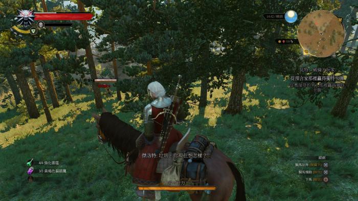 巫师3武器如何修理2