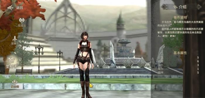 奇迹世界起源后期职业怎么选4