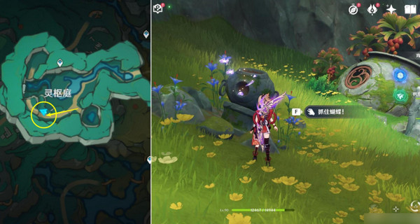 原神彩蝶翩然过谷中任务攻略8