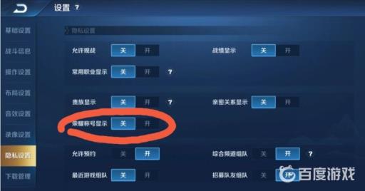 王者荣耀英雄100强怎么显示?3