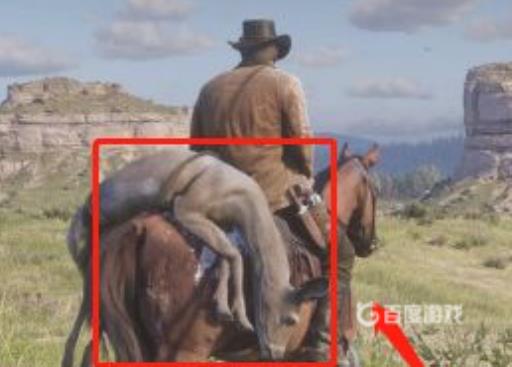 大表哥2传说动物皮怎么卖?2