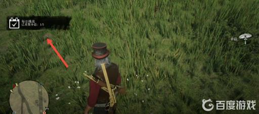 荒野大镖客2伞菇分布在哪?5