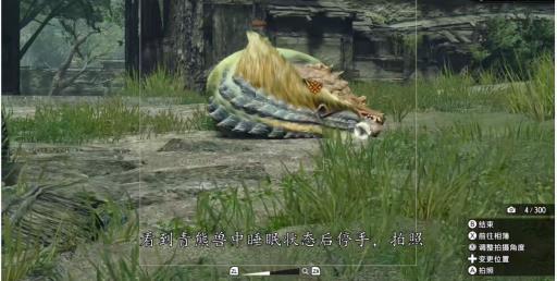 怪物猎人XX青熊兽任务在哪里?5