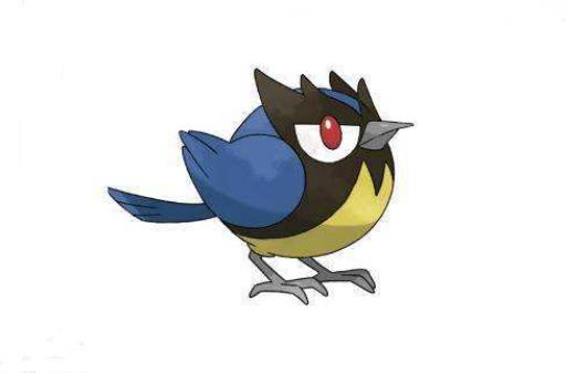 宝可梦剑盾稚山雀值得培养吗?1