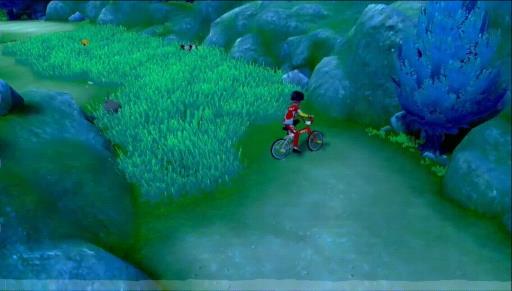 宝可梦剑盾的路闪是什么意思?2