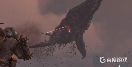 死亡搁浅鲸鱼能杀吗?2