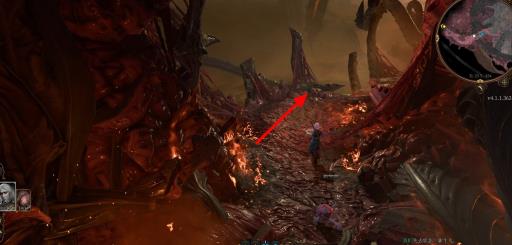 博德之门3洋基妹在哪?2